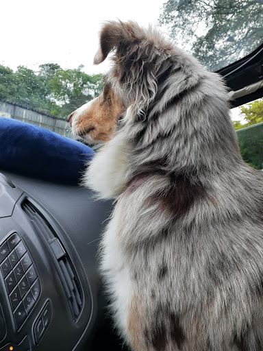 Pet Supply Store «Big Tex Feed & Pet Supply», reviews and photos, 7102 Cullen Blvd, Houston, TX 77021, USA