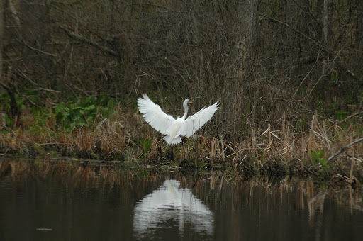 State Park «Bradley Palmer State Park», reviews and photos, 40 Asbury St, Topsfield, MA 01983, USA