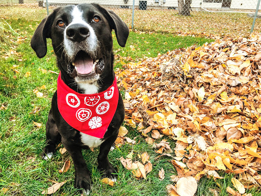 Gift Shop «Old Lutheran», reviews and photos, 1408 1st Ave N, Moorhead, MN 56560, USA
