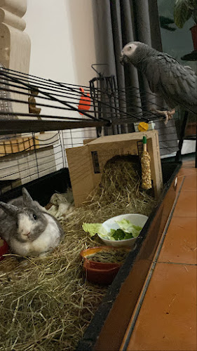 Centro de Medicina Veterinária Anjos de Assis, Lda - Barreiro