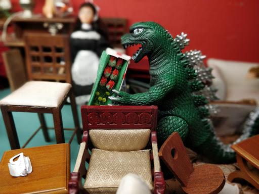 Toy Store «Terra Toys», reviews and photos, 2438 W Anderson Ln, Austin, TX 78757, USA