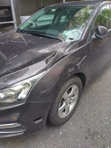 1171 Zerega Ave, Bronx, NY 10462, USA