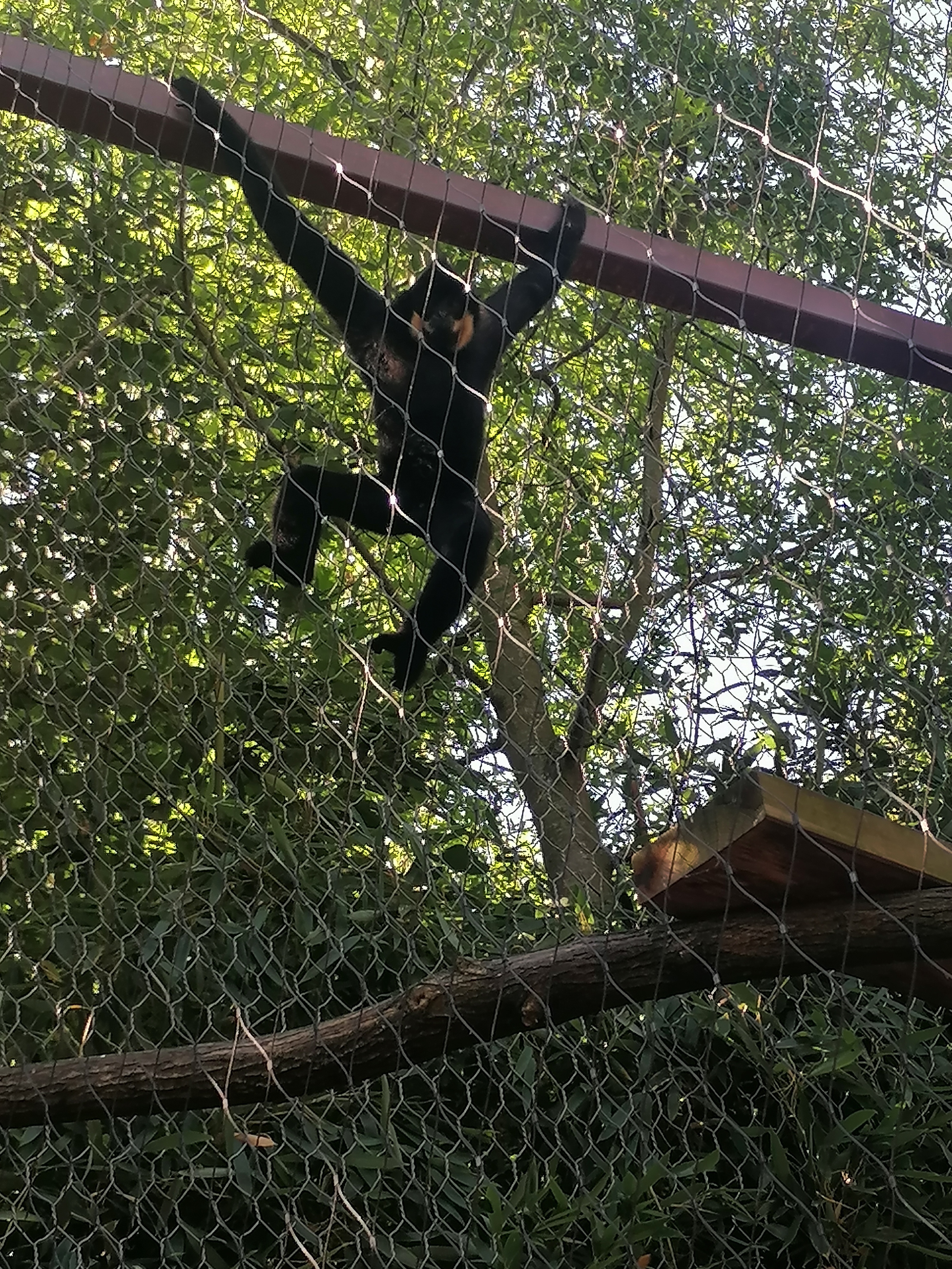 Photo n° 42 de l'avis de Gilles.. fait le 23/08/2023 à 12:57