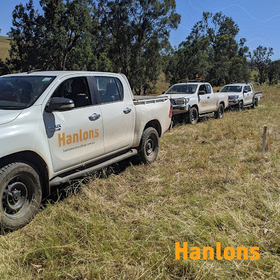 Hanlons Consulting