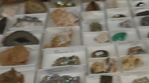 Toy Store «Brookside Toy and Science», reviews and photos, 330 W 63rd St, Kansas City, MO 64113, USA