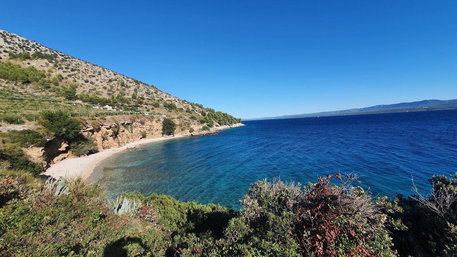 Veli Zagradac beach'in fotoğrafı küçük koy ile birlikte