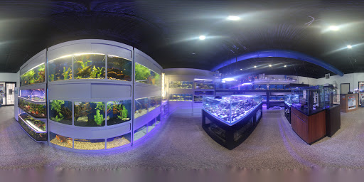 Tropical Fish Store «Elegant Reef - Tropical Fish Studio», reviews and photos, 301 W Nakoma Dr, San Antonio, TX 78216, USA