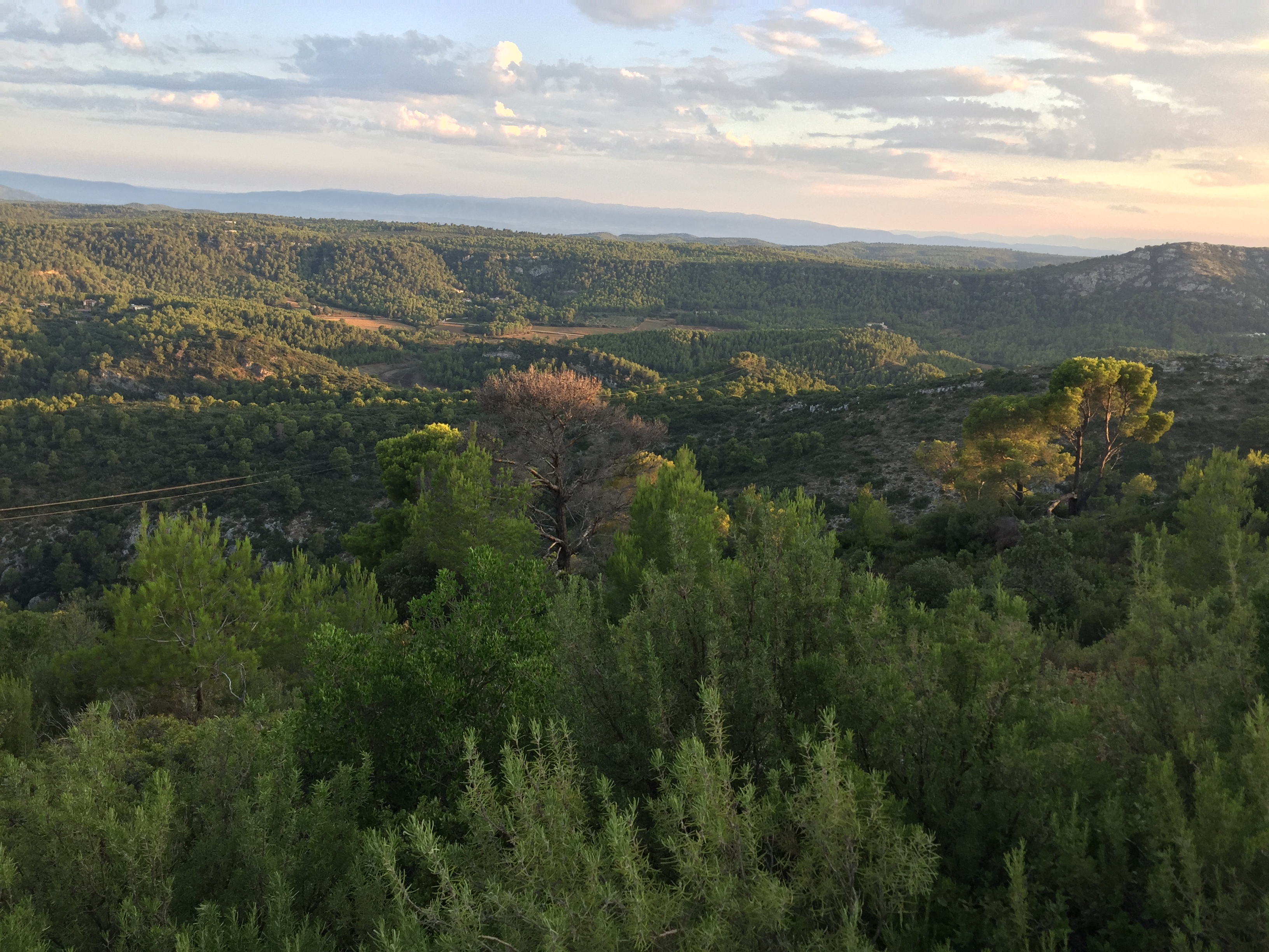Photo n° 34 de l'avis de Woosuk. fait le 31/08/2019 à 11:22