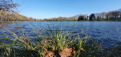 étang du valvert à Noyal-Pontivy