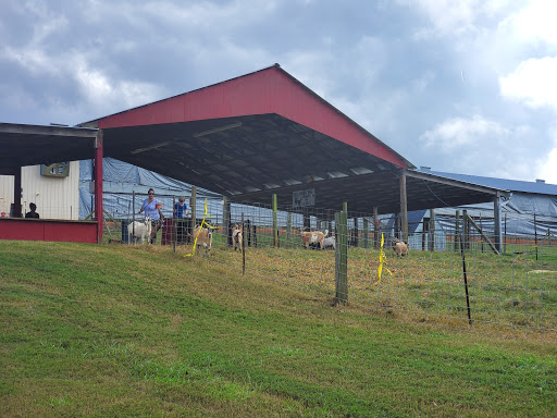 Farm «Warbington Farms (U-Pick Strawberries)», reviews and photos, 5555 Crow Rd, Cumming, GA 30041, USA