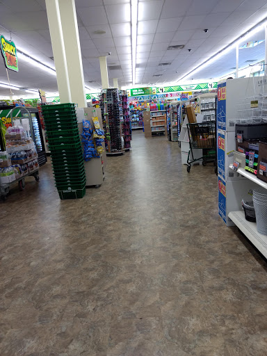 Dollar Store «Dollar Tree», reviews and photos, 8491 Grand River Ave, Brighton, MI 48116, USA