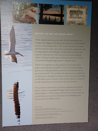 Museum «University of South Carolina :McKissick Museum», reviews and photos, 816 Bull St, Columbia, SC 29208, USA