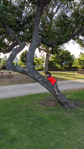 Park «Fox Hills Park», reviews and photos, Green Valley Cir & Buckingham Parkway, Culver City, CA 90230, USA