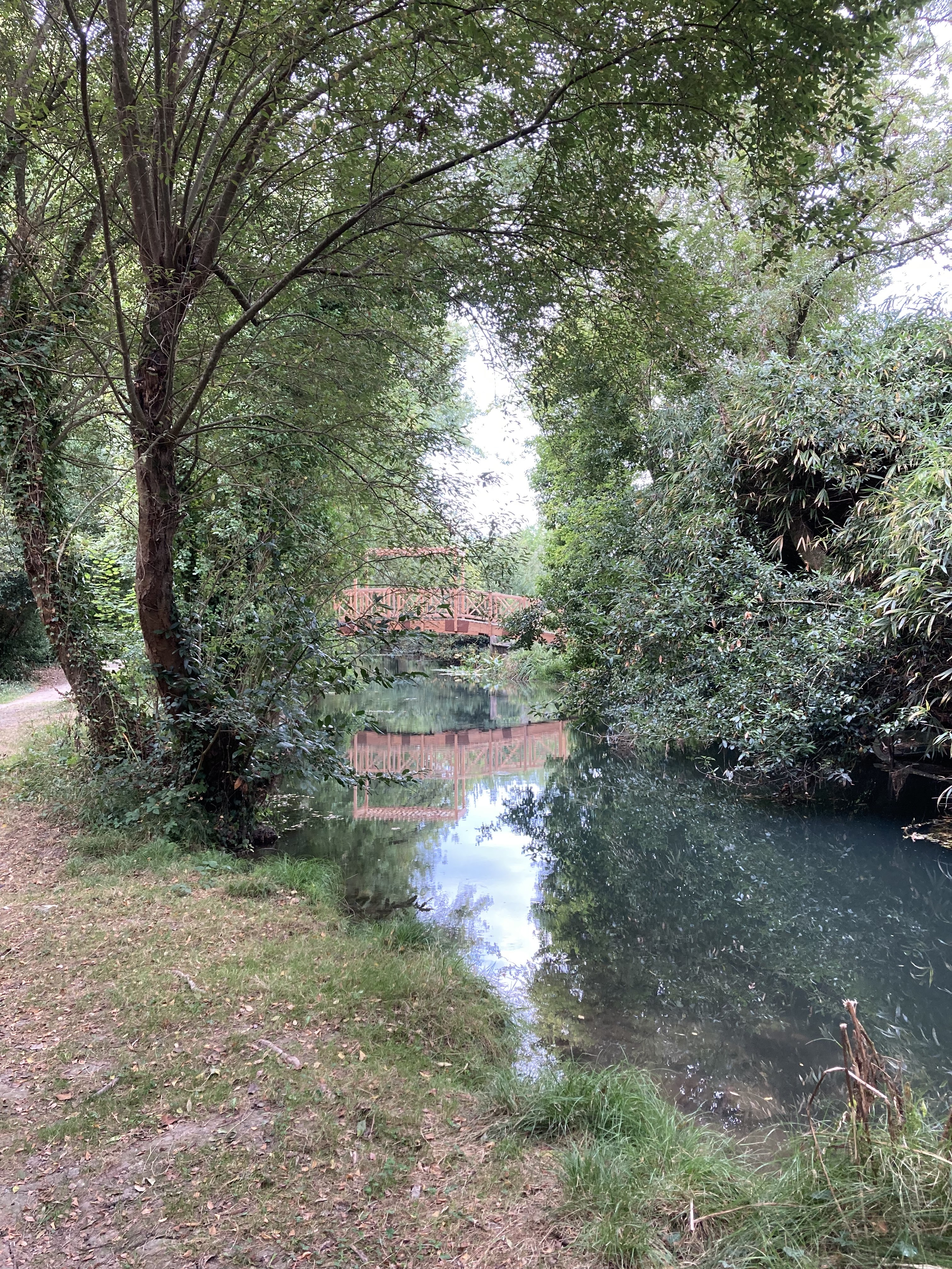 Photo n° 2 de l'avis de maryvonne.i fait le 28/10/2022 à 00:33