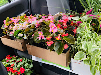 Lawyers of Lawn - Photo 7 - Car repair in Lancaster, PA, Lancaster