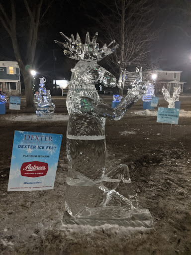 Bar «The Beer Grotto», reviews and photos, 8059 Main St, Dexter, MI 48130, USA