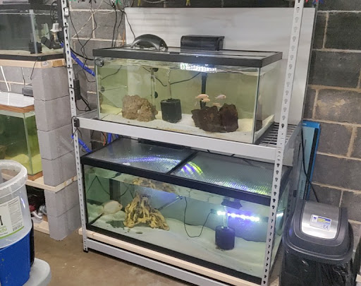 Pet Supply Store «PetSmart», reviews and photos, 5591 TN-153, Hixson, TN 37343, USA