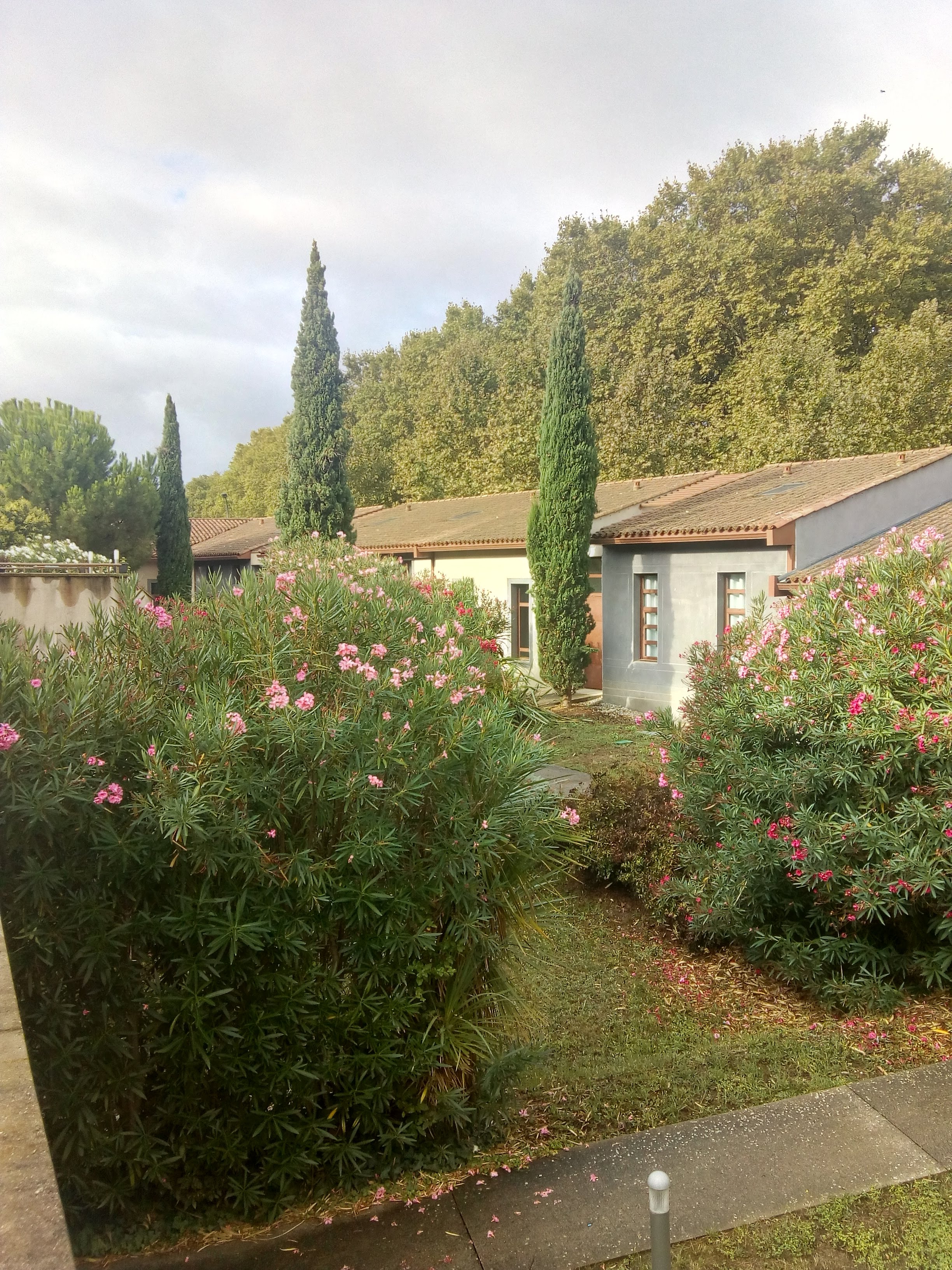 Photo n° 1 de l'avis de Stephane.a fait le 30/08/2020 à 12:43