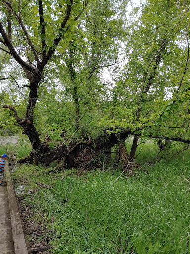 Nature Preserve «Benjamin Olewine III Nature Center», reviews and photos, 100 Wildwood Way, Harrisburg, PA 17110, USA