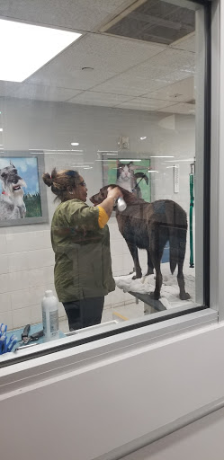 Pet Supply Store «Petco Animal Supplies», reviews and photos, 2965 Hempstead Turnpike, Levittown, NY 11756, USA