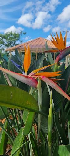 Park «Coral Gate Park», reviews and photos, Coral Lake Dr, Margate, FL 33063, USA