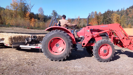Tourist Attraction «Museum and Event Grounds for Mt. Rainier Railroad and Logging Museum», reviews and photos, 349 Mineral Creek Rd S, Mineral, WA 98355, USA