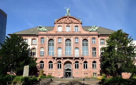 Senckenberg Nature Museum image