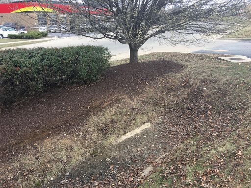 Oil Change Service «Jiffy Lube», reviews and photos, 11 Jiffy St, Wentzville, MO 63385, USA