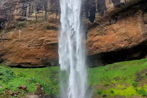 Pandavkada Falls image