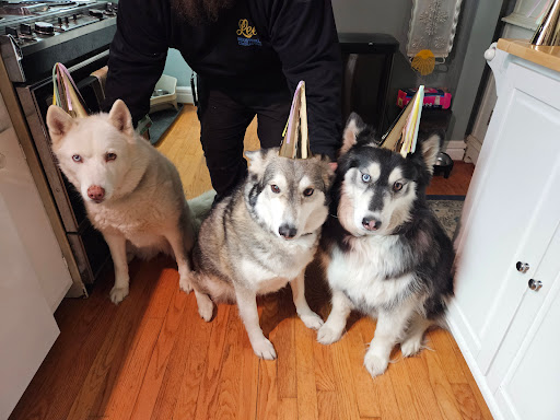 Thorpe Animal Hospital image