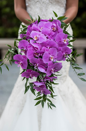 Florist «Vivid Expressions LLC», reviews and photos, 3921 Granby St b, Norfolk, VA 23504, USA