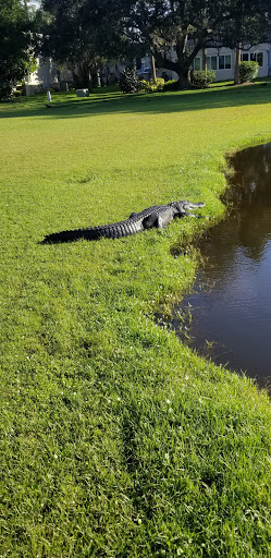 Golf Club «East Bay Golf Club», reviews and photos, 702 Country Club Dr, Largo, FL 33771, USA