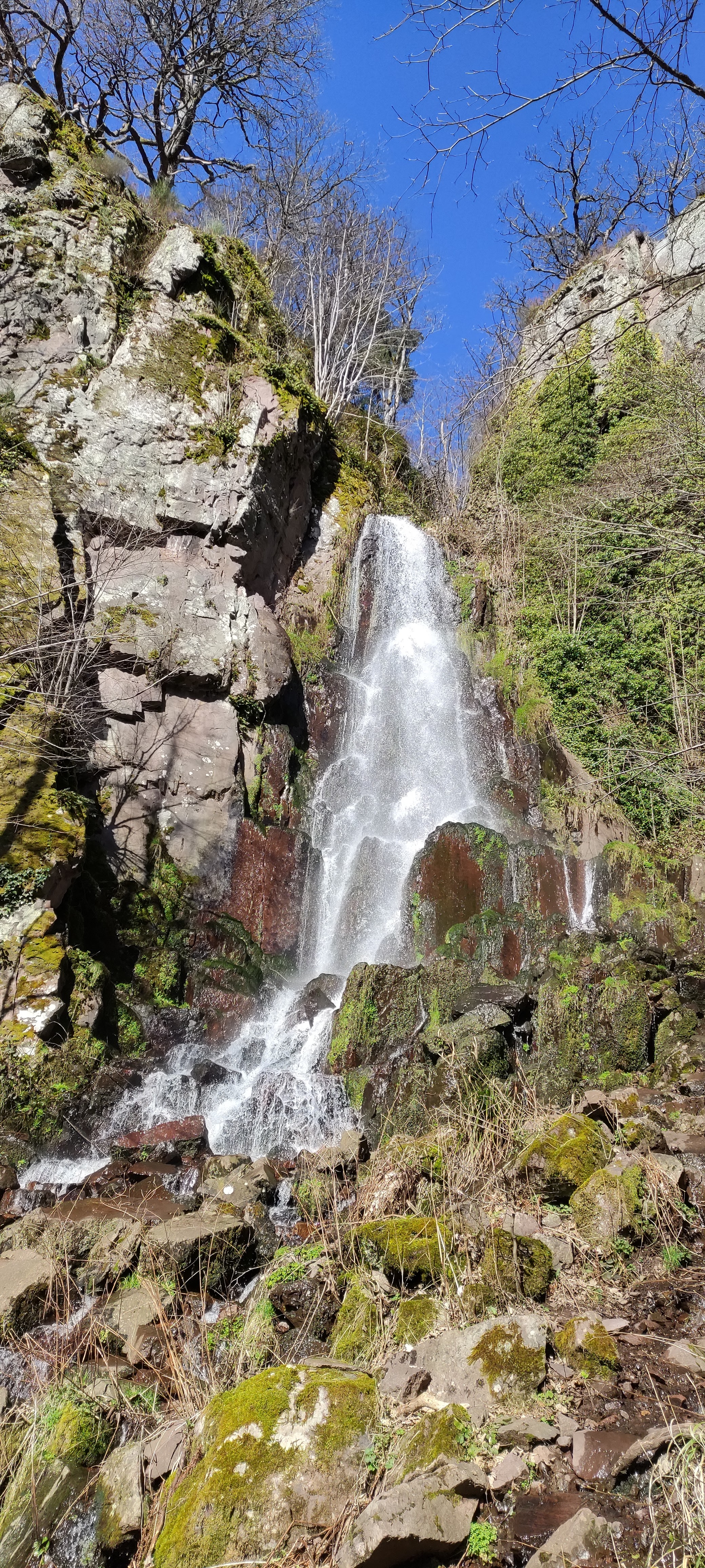 Photo n° 4 de l'avis de François. fait le 28/02/2022 à 13:24