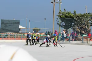 Vuda Park Skating Rink image