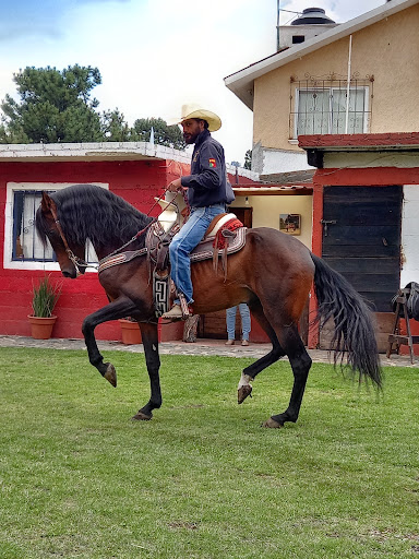 Torres, Aventuras Ecuestres