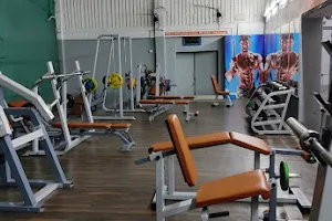 ALVIC GYM AND FITNESS CENTRE image