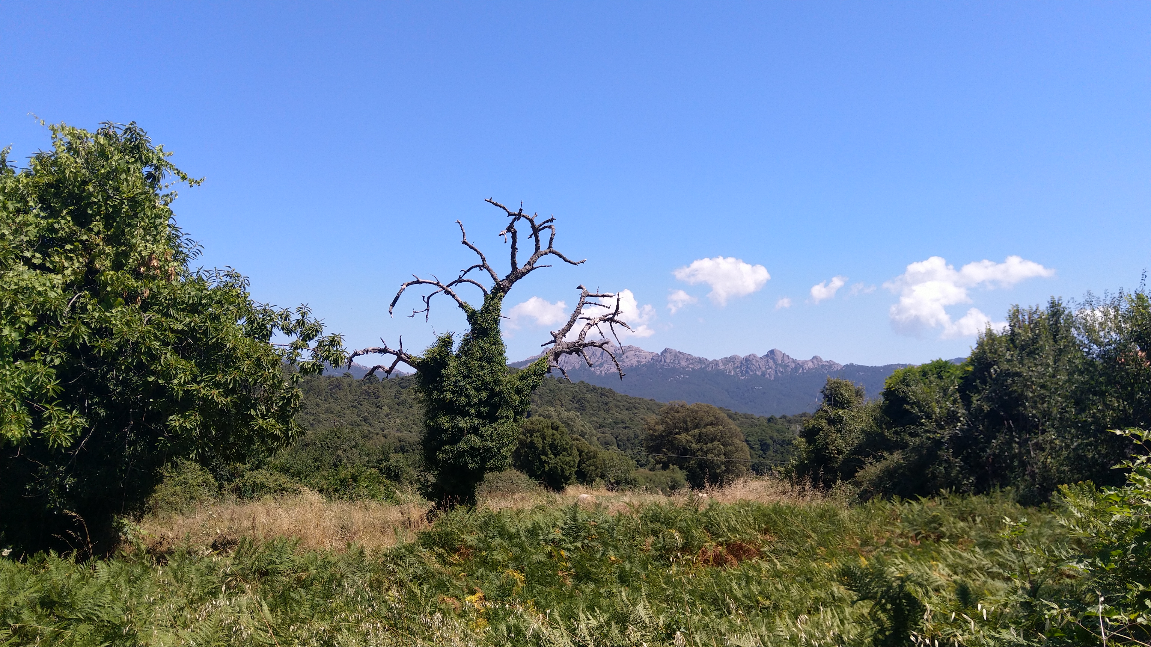 Photo n° 2 de l'avis de didier.r fait le 22/07/2021 à 19:20