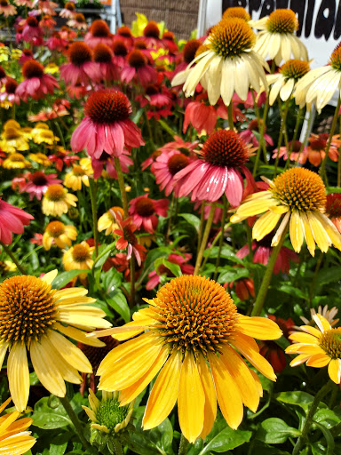 Home Improvement Store «The Home Depot», reviews and photos, 66 Mountain Rd, Glen Burnie, MD 21060, USA