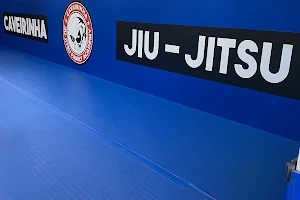 Ease Jiu Jitsu image