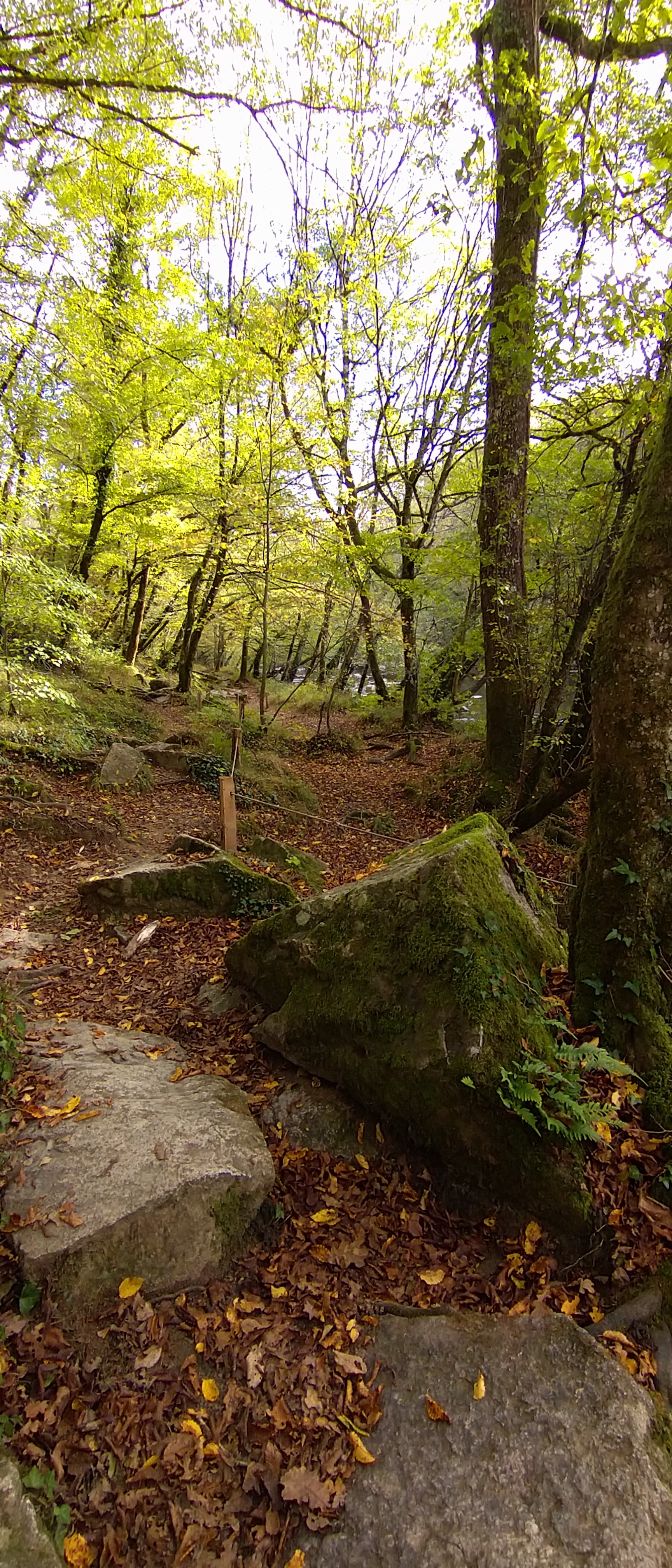 Photo n° 12 de l'avis de loosainto. fait le 27/10/2022 à 15:08