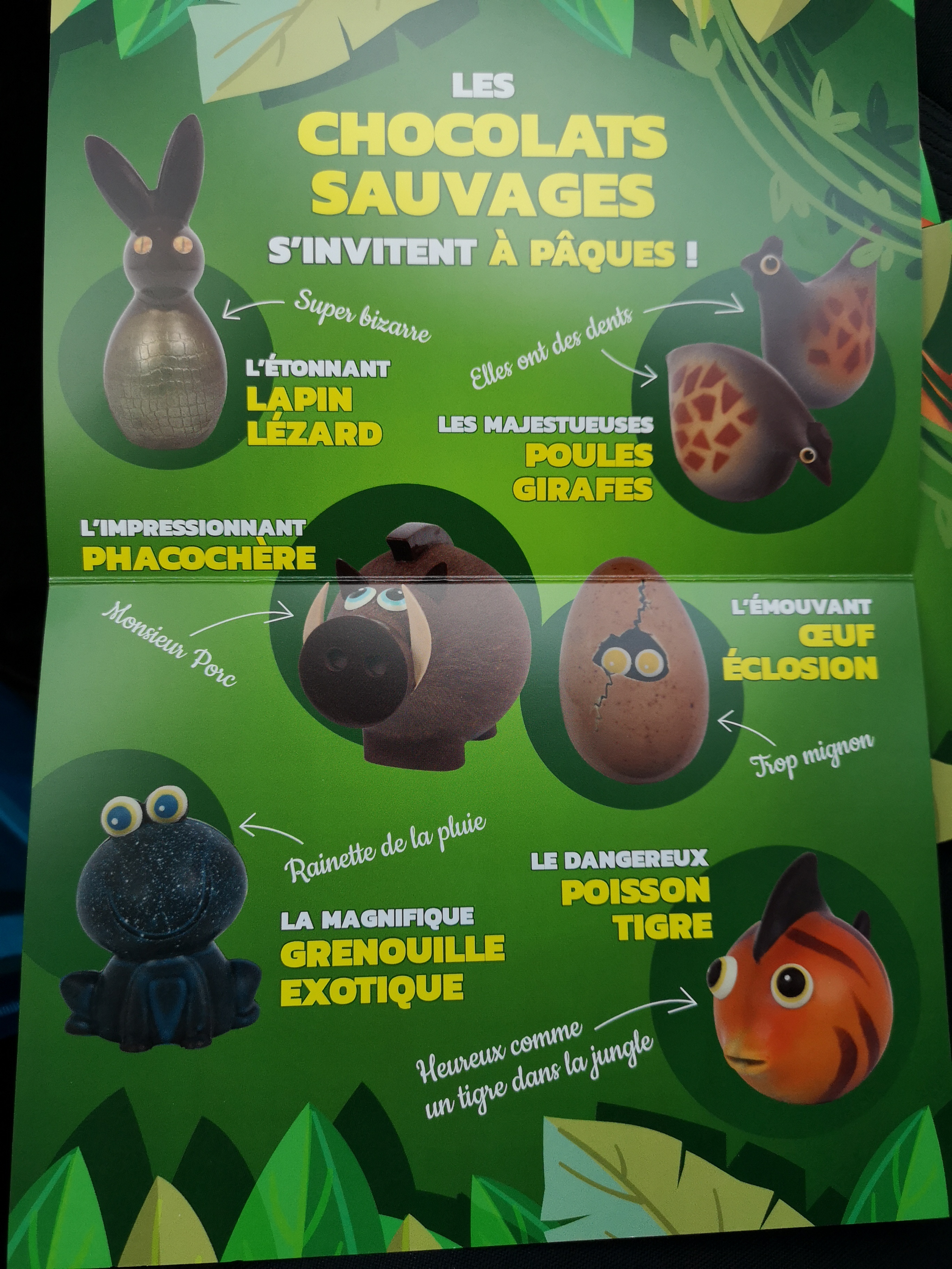 Photo n° 1 de l'avis de Florent.a fait le 28/07/2018 à 19:27