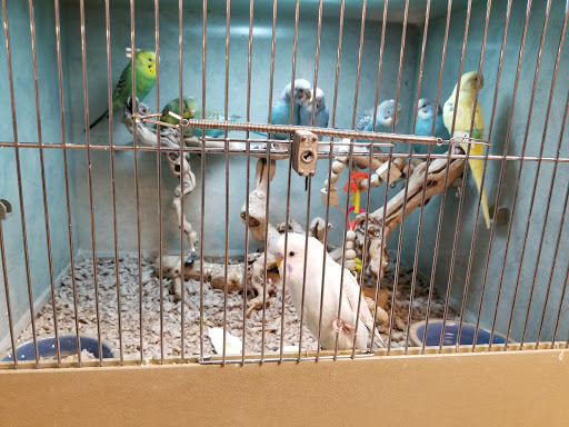 Pet Store «Exotic Pets», reviews and photos, 2410 N Decatur Blvd #160, Las Vegas, NV 89108, USA