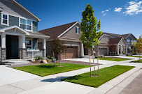 Thrive Lawn Solutions Inc - Photo 4 - Car repair in , Boulder