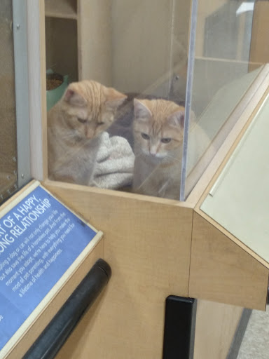 Pet Supply Store «PetSmart», reviews and photos, 1125 Quentin Rd, Lebanon, PA 17042, USA