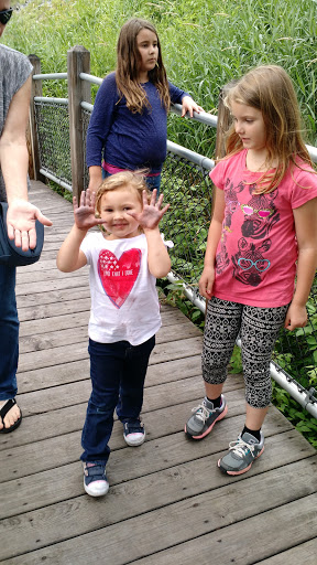 Museum «Michigan Iron Industry Museum», reviews and photos, 73 Forge Rd, Negaunee, MI 49866, USA