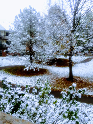 Private Golf Course «Olympic Hills Golf Club», reviews and photos, 10625 Mount Curve Rd, Eden Prairie, MN 55347, USA