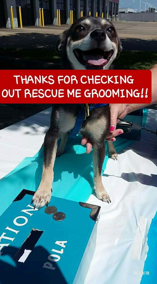 Rescue me grooming