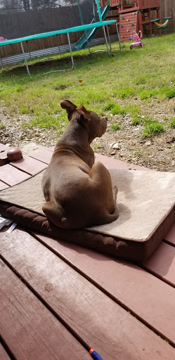 Plumber «Super Plumbers», reviews and photos, 4588 Old Troup Hwy #20, Tyler, TX 75707, USA