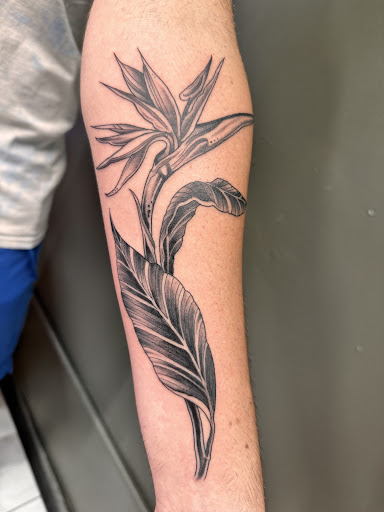 Explore tattoo idea legs, creative tattoo ideas in Honolulu, available at Sacred Art Tattoo Waikiki