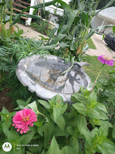 Thrift Store «Second Blessing Thrift Store Inc.», reviews and photos, 2323 Central Ave, Wichita, KS 67214, USA